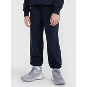 Boys sweatpants 4F