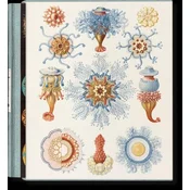 The Art and Science of Ernst Haeckel