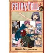 Fairy Tail 20