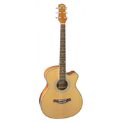 FLIGHT folk akustična kitara F-230 NA