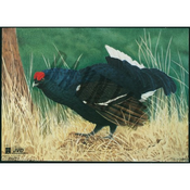 JVD Animal Face Blue-Grouse