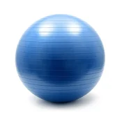 MG Gymnastic Ball fit gimnastička lopta 65cm, plava