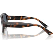 Jimmy Choo Naocare za sunce JC 5027 50028F