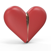 TOY JOY vibro stimulator za ženske Heartbreaker 2 in 1 (R111