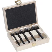 Bosch Expert Set Forstner glodala 2608901843, O 15-35 mm
