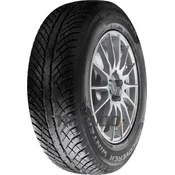 Cooper Discoverer Winter ( 255/45 R20 105V XL, Zascita platisca )