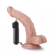 DR. Skin Sean 8INCH Vibrator