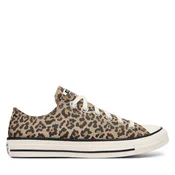 Modne superge Converse CTAS OX EGRET/BLACK/HONEY STICK A19182C Bež