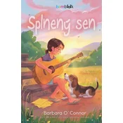 Splnený sen