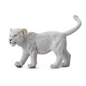 COLLECTA . Sprehod belega levjega mladiča