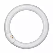 OSRAM fluo okrogla žarnica L 22W/840 C G10Q FI 29MM