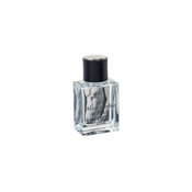 Abercrombie & Fitch Fierce 30 ml kolonjska voda muškarac