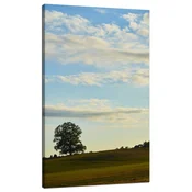 shumee Platno Narava Drevo na polju 70x120 cm Nebo Travnik Oblaki