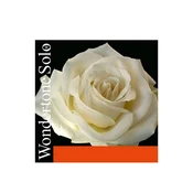 Strune Pirastro Wondertone Solo violina Set 4/4
