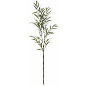 Shishi Zelena veja evkaliptusa, višina 170 cm