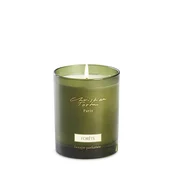 Christian Tortu Forests Candle