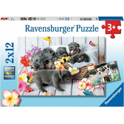Ravensburger Ljubki kužki Puzzle 2x12 kosov