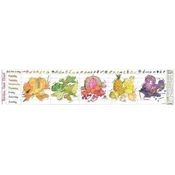 Rainbow Food Activity Chart