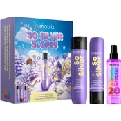Matrix So Silver Slopes Xmas 2026