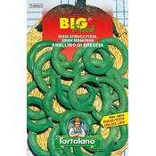 FIŽOL NIZKI ANELLINO BIG PACK 70gr