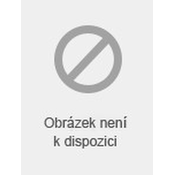 Napoleon a jeho druhý mamlúk Ali 1