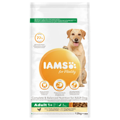 IAMS for Vitality Adult Large s piletinom - 2 x 12 kg