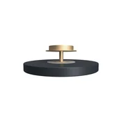 UMAGE LED stropna svetilka Asteria UP PLUS, antracit O 31 cm CCT - Dnevna soba/jedilnica - Dizajn - antracit, medenina - Kovina