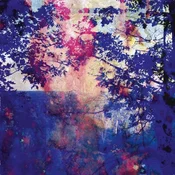 Roland Bucher - Viaje (LP)