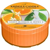 Kringle Candle Strawberries & Cream čajna sveča 42 g