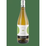 Pio Cesare Vino Sauvignon Blanc DOC 2023 Pio Cesare 0,75 l