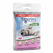 Kitten Starter Set: Tigerino Canada pesek za mačke + Savic mačje stranišče z robom - Lopatka za pesek Ultra Litter