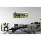tulup.si Slika na akrilnem steklu Art jahanje 140x70 cm 4 obešalnika