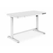 Electric height-adjustable Desk, 120x60x12cm top 50kg load, USB-charging ports, white