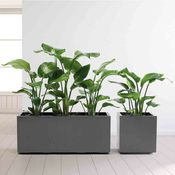 Cvetlično korito Nature antracit 100x40x40 (tudi bela, rjava barva) - bela