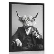 Plakat krava v obleki s cigaro in viskijem - 40x60 no frame