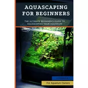 Aquascaping For Beginners