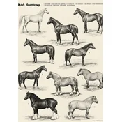 Plakat 30x40 cm Domače pasme in sorte konj starinski konjski atlas