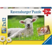 Ravensburger Puzzle Živali na kmetiji 2x12 kosov