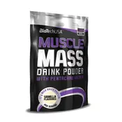 BIOTECH gainer MUSCLE MASS (1 kg)