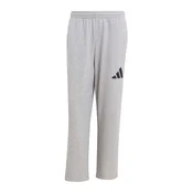 ADIDAS SPORTSWEAR Športne hlače Essentials siva/črna
