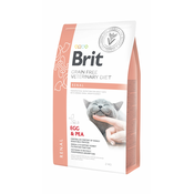 Brit | Cat Renal