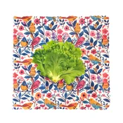 BeePack Voščena folija Ptice D 36x36 cm 1 kos.
