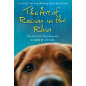 Art of Racing in the Rain