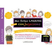 Mes fiches Larousse, spéciales Conjugaisons