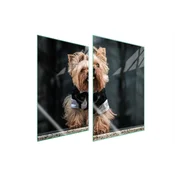 shumee STEKLENA ZAŠČITNA KROŽNIKA ZA KUHINJO 2x35x52 DOG