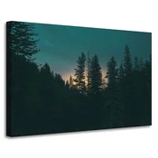 shumee Platno Narava Gozd v mraku 90x60 cm Tema