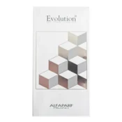 Palette Color Mini Evolution Of The Color