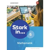 Stark in Mathematik 6. Schülerband. Erweiterte Ausgabe 2021