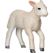 My Lamb romney trči
