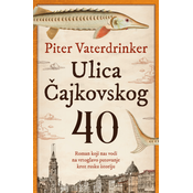 Ulica Cajkovskog 40